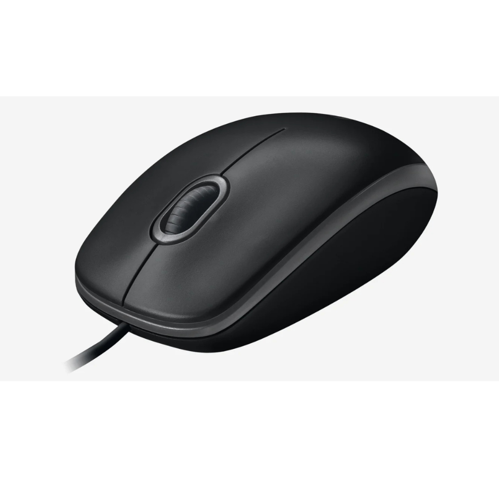 Logitech B100